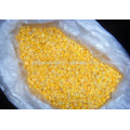 Fourniture à long terme d&#39;echantillons de maïs sucré iqf congelés de haute qualité